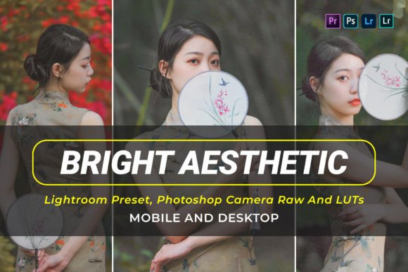 Download 10 Bright Aesthetic V2 Presets and Luts - Bright Collection